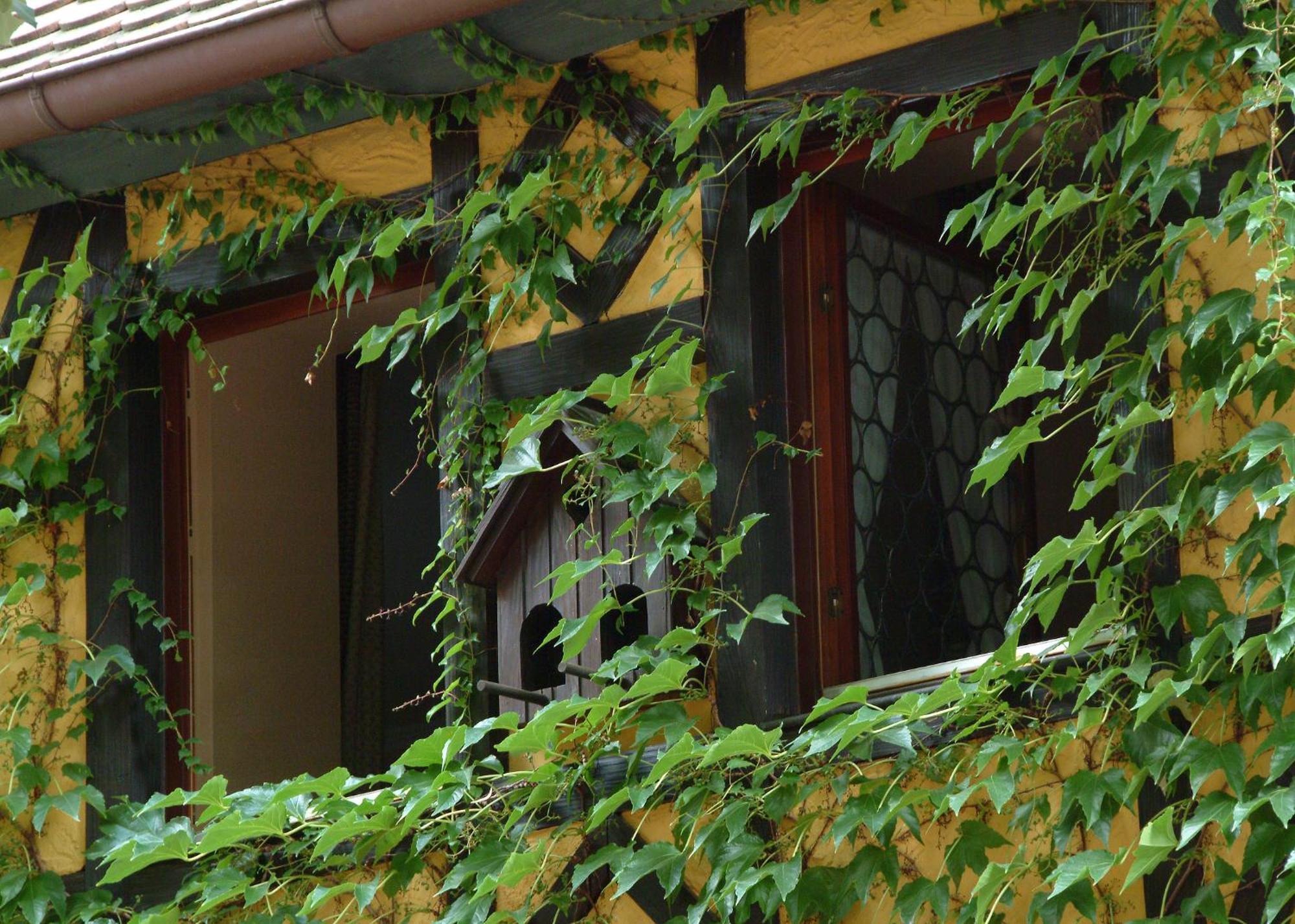 Hotel Leicht Biebelried المظهر الخارجي الصورة